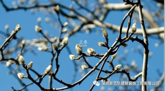 立春1.jpg
